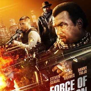 Poster of Voltage Pictures' Force of Execution (2013)