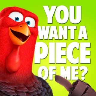 Free Birds Picture 7