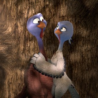 Free Birds Picture 1