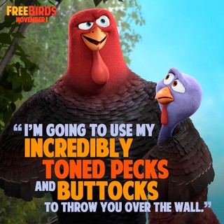 Free Birds Picture 15