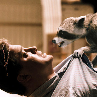 Brendan Fraser stars as Dan Sanders in Summit Entertainment's Furry Vengeance (2010)
