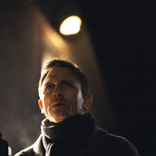 The Girl with the Dragon Tattoo Picture 46