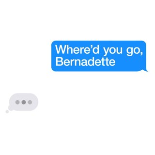 Where'd You Go, Bernadette Picture 1