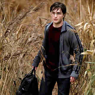 Harry Potter and the Deathly Hallows: Part I Picture 57