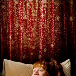 Rupert Grint stars as Ron Weasley in Warner Bros Pictures' Harry Potter and the Half-Blood Prince (2009)