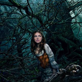 Into the Woods Picture 17