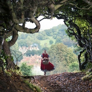Into the Woods Picture 6