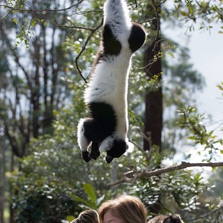 Patricia Wright in Warner Bros. Pictures' Island of Lemurs: Madagascar (2014)