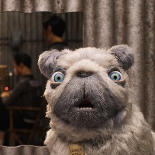 The Oracle Dog from Fox Searchlight Pictures' Isle of Dogs (2018)