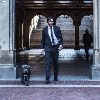 John Wick: Chapter 2 Picture 24