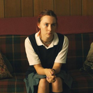 Lady Bird Picture 2