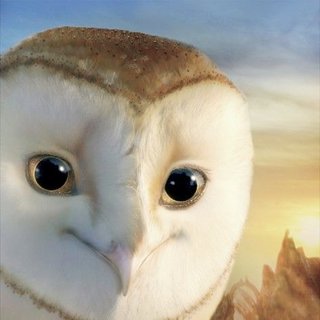 Legend of the Guardians: The Owls of Ga'Hoole Picture 39