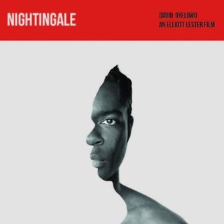 Nightingale Picture 2