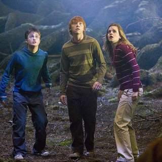 Harry Potter and the Order of the Phoenix Picture 9