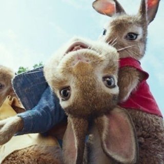 Peter Rabbit from Columbia Pictures' Peter Rabbit (2018)