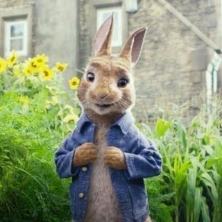 Peter Rabbit from Columbia Pictures' Peter Rabbit (2018)