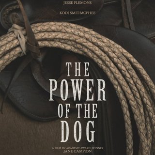 The Power of the Dog Picture 4
