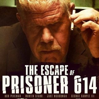 The Escape of Prisoner 614 Picture 2