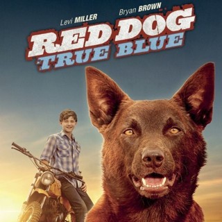 Red Dog: True Blue Picture 2