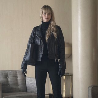Red Sparrow Picture 8