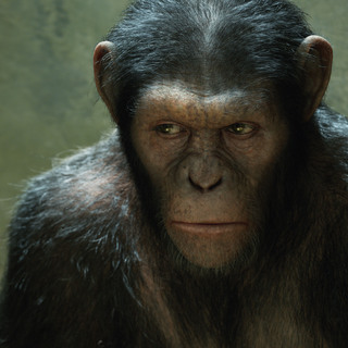 Rise of the Planet of the Apes Picture 2