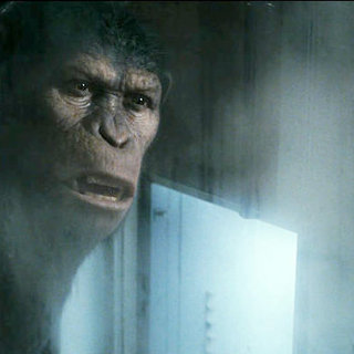 Rise of the Planet of the Apes Picture 8