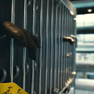 Rise of the Planet of the Apes Picture 11