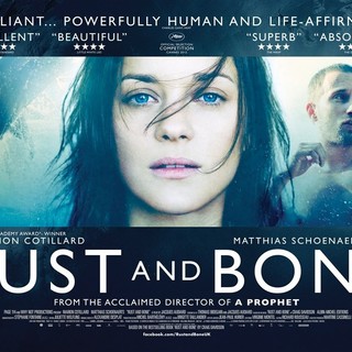 Rust and Bone Picture 35
