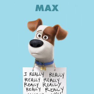 The Secret Life of Pets Picture 18