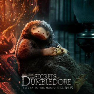 Fantastic Beasts: The Secrets of Dumbledore Picture 6
