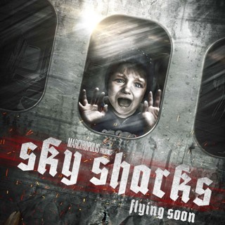 Sky Sharks Picture 12