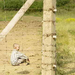 The Boy in the Striped Pajamas Picture 2