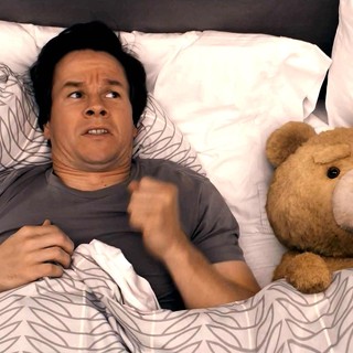 Ted Picture 8