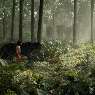 The Jungle Book Picture 10