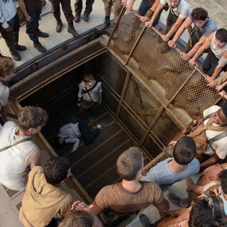A scene from 20th Century Fox's The Maze Runner (2014)