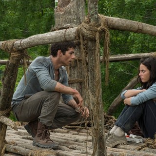 The Maze Runner Picture 10