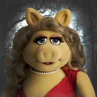 The Muppets Picture 42