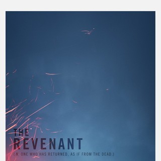 The Revenant Picture 10