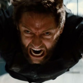 The Wolverine Picture 18