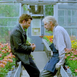 Bradley Cooper stars as Rory Jansen and Jeremy Irons stars as The Old Man in CBS Films' The Words (2012)