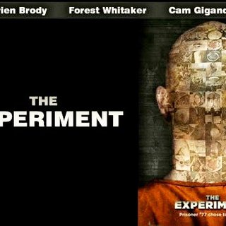 The Experiment Picture 1