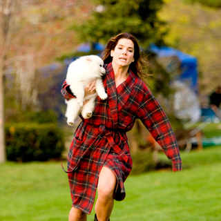 Sandra Bullock stars as Margaret Tate in Touchstone Pictures' The Proposal (2009). Photo credit by Kerry Hayes.