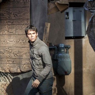Dylan O'Brien stars as Thomas in 20th Century Fox's Maze Runner: The Scorch Trials (2015)
