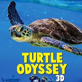 Poster of SK Films' Turtle Odyssey (2018)