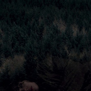 Under the Skin Picture 7