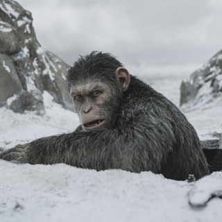 War for the Planet of the Apes Picture 17