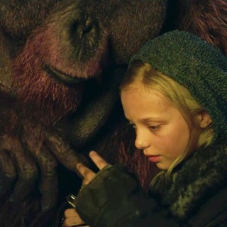 War for the Planet of the Apes Picture 30