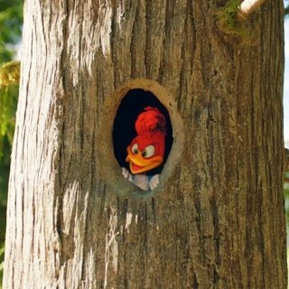 Woody Woodpecker Picture 4