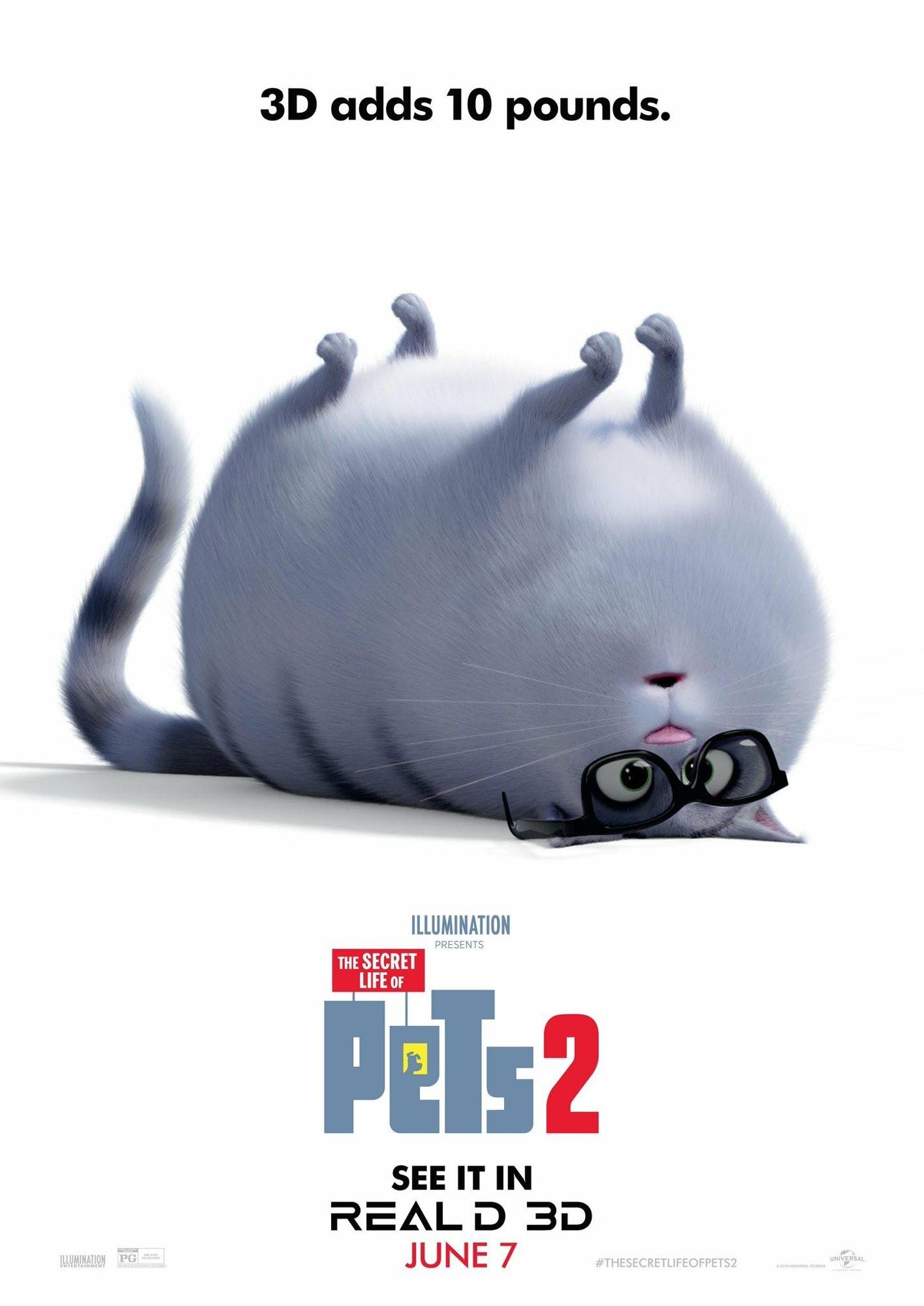 opening to the secret life of pets 2 2019 dvd