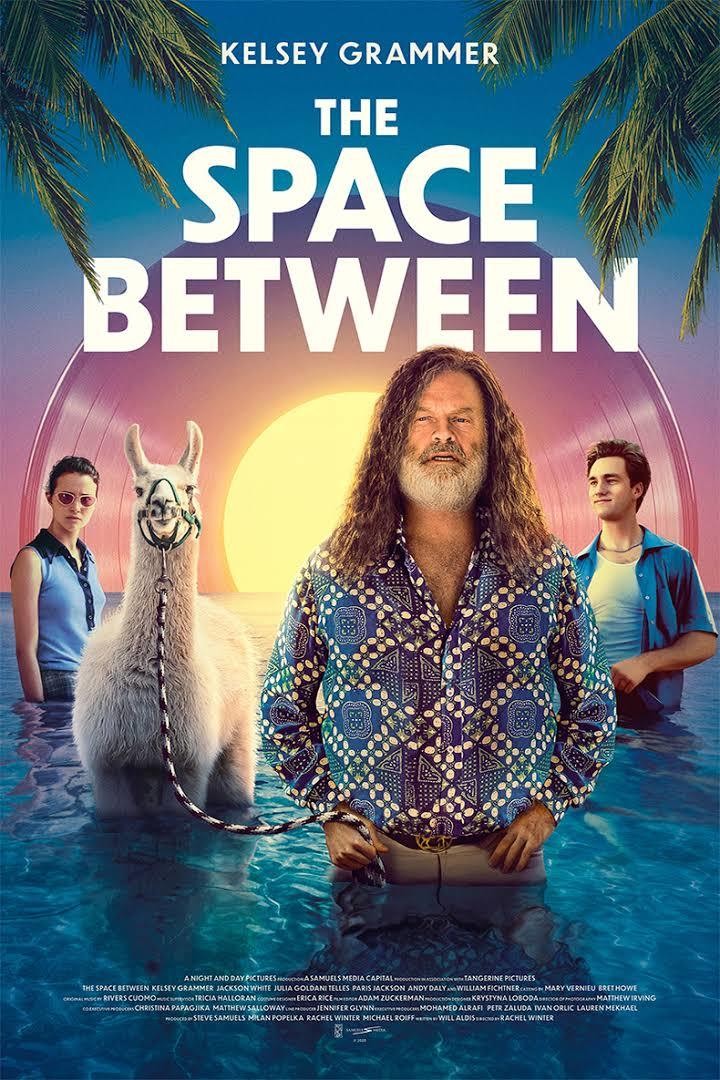 Poster of The Space Between (2021)